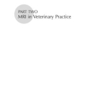 Ebook Handbook of small animal MRI: Part 2