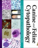 Ebook Canine and feline cytopathology - A color atlas and interpretation guide (4/E): Part 1