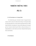 NHIỄM TRÙNG TIỂU (Kỳ 2)