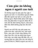 Cảm giác ăn không ngon ở người cao tuổi