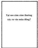 Tại sao cảm cúm thường xảy ra vào mùa đông?