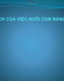 Bài giảng Lợi ích của việc nuôi con bằng sữa mẹ