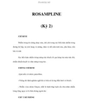 ROSAMPLINE (Kỳ 2)