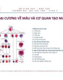 Bài giảng Đại cương về máu và cơ quan tạo máu - ThS. BS Nguyễn Phúc Học