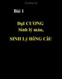 Bài giảng Đại cương sinh lý máu, sinh lý hồng cầu