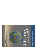 Ebook Principles of virology (4/E - Vol 1: Molecular biology): Part 1