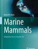 Ebook Marine mammals - Adaptations for an aquatic life: Part 1