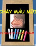 Bài giảng Chảy máu mũi - BS. Nguyễn Thị Mỹ Thắm