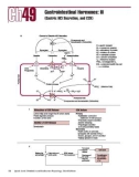 Ebook Metabolic and endocrine physiology (3/E): Part 2