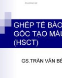 Bài giảng Ghép tế bào gốc tạo máu (HSCT) – GS. Trần Văn Bé