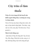 Cây trâu cổ làm thuốc