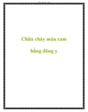 Chữa chảy máu cam bằng đông y