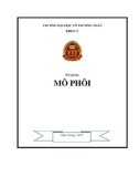 Bài giảng Mô phôi: Phần 1 - Trường ĐH Võ Trường Toản (Năm 2016)