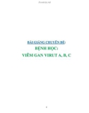 Bài giảng chuyên đề Bệnh học: Viên gan virut A,B,C