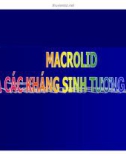 Bài giảng Đại cương hóa dược - Macrolid và các kháng sinh tương đồng