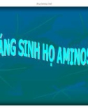 Bài giảng Đại cương hóa dược - Những kháng sinh họ Aminosid