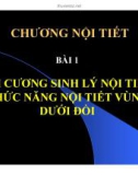 Bài giảng Chương nội tiết - Bài 1: Đại cương sinh lý nội tiết, chức năng nội tiết vùng dưới đồi