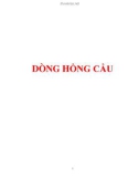 DÒNG HỒNG CẦU