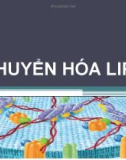 Bài giảng Chuyển hóa Lipid - Võ Hồng Trung