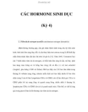 CÁC HORMONE SINH DỤC (Kỳ 4)