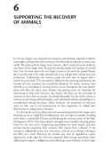 Ebook Animal management and welfare in natural disasters: Part 2