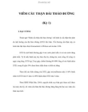 VIÊM CẦU THẬN ĐÁI THÁO ĐƯỜNG (Kỳ 1)