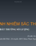 Bài giảng Bệnh nhiễm sắc thể, các bất thường số lượng - TS.BS. Vũ Phi Yên