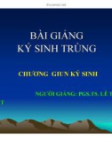 Bài giảng Vi-Kí sinh trùng: Giun ký sinh - HV Y dược học cổ truyền VN