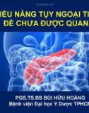 Bài giảng Thiểu năng tụy ngoại tiết: Vấn đề chưa được quan tâm - PGS.TS.BS Bùi Hữu Hoàng