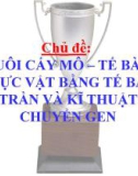 Bài giảng nuôi cấy mô - tế bào thực vật bằng tế bào trần và kĩ thuật chuyển gen