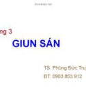 Bài giảng Chương 3: Giun sán - TS. Phùng Đức Truyền