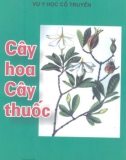 Tìm hiểu về Cây hoa cây thuốc: Phần 1