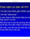 Bài giảng điều trị HIV : SINH BỆNH HỌC VÀ DIỄN BIẾN TỰ NHIÊN CỦA NHIỄM HIV part 2