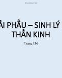 Bài giảng Giải phẫu sinh lý thần kinh - ThS. BS. Trần Quang Thảo