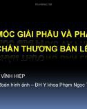 Các mốc giải phẫu và phân loại các mốc giải phẫu và phân loại trong chấn thương bản lề chẩm cổ