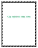 Cây mâm xôi chữa viêm