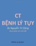 CT BỆNH LÝ của TỤY