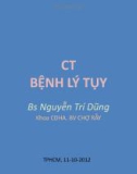 CT BỆNH LÝ TỤY