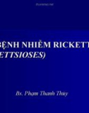 Các bệnh nhiễm Rickettsioses