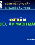 Bài giảng Cơ bản siêu âm mạch máu - BS. Bùi Phú Quang