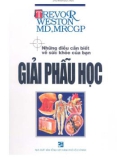 Những điều cần biết về sức khỏe của bạn trong giải phẫu học: Phần 1