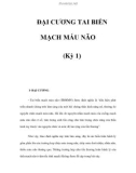 ĐẠI CƯƠNG TAI BIẾN MẠCH MÁU NÃO (Kỳ 1)