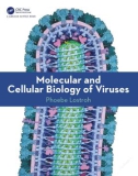 Ebook Molecular and cellular biology of viruses: Part 1