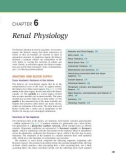 Ebook Physiology (6/E): Part 2