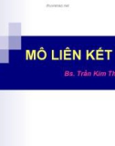 Bài giảng Mô liên kết - BS. Trần Kim Thương