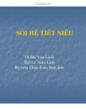 Bài giảng sỏi hệ tiết niệu part 1