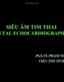 Bài giảng Siêu âm tim thai (Fetal Echocardiography) - PGS.TS Phạm Nguyễn Vinh