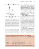 Introduction to the Cardiovascular System - Part 2