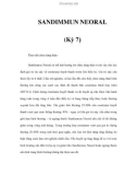 SANDIMMUN NEORAL (Kỳ 7)