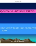 Bài giảng Vi-Kí sinh trùng: Trùng roi - Học viện Y dược học cổ truyền Việt Nam